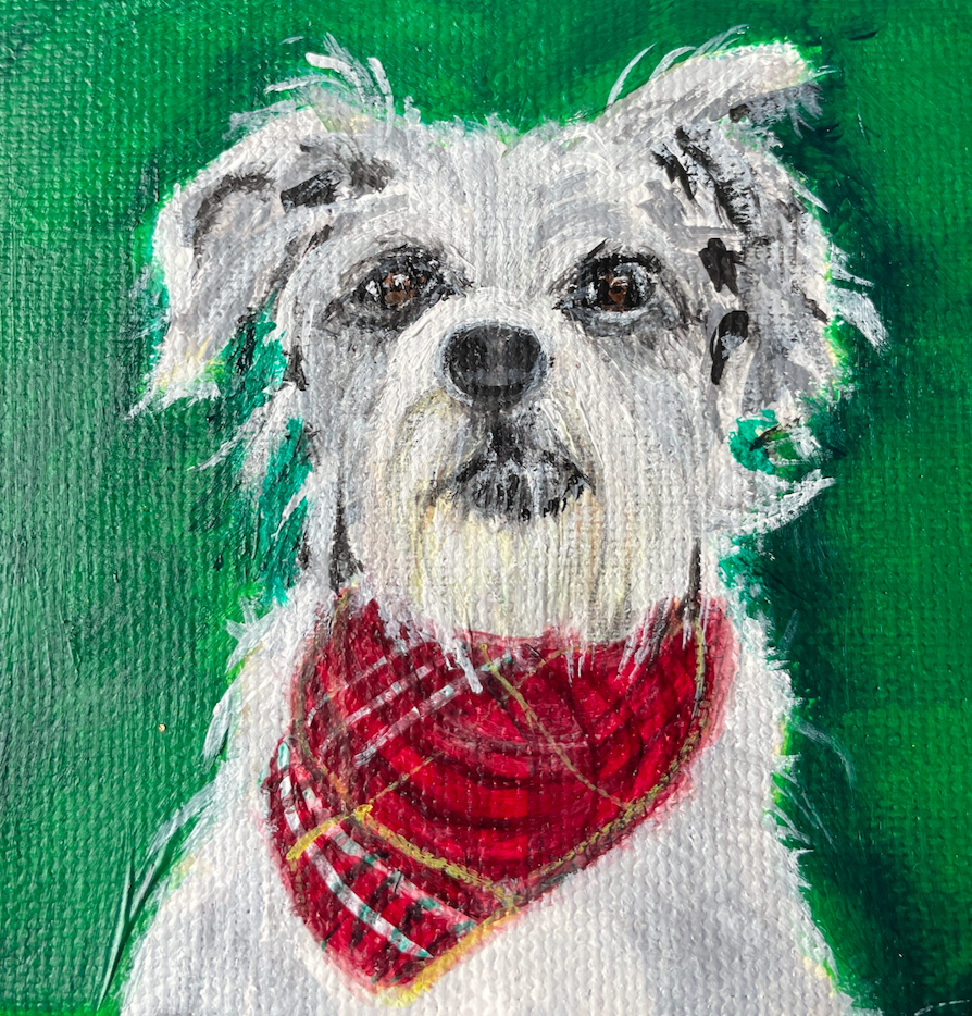 Dog wearing a red bandana on a green background