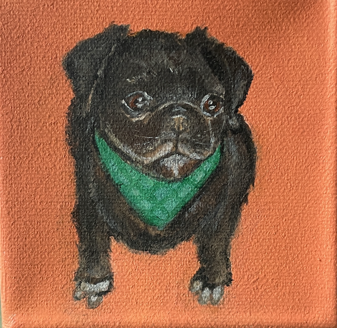 Black pug wearing a green bandana on an orange background