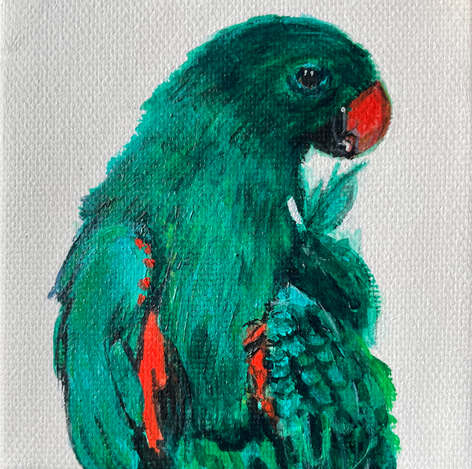 Artistic depiction of a green parrot with red accents on a white background