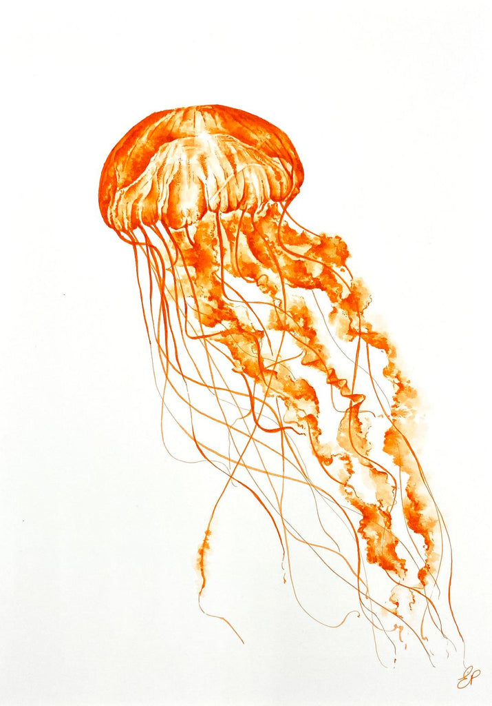 'Orange Stinger' Framed Original Ink Painting by Emily Penfold
