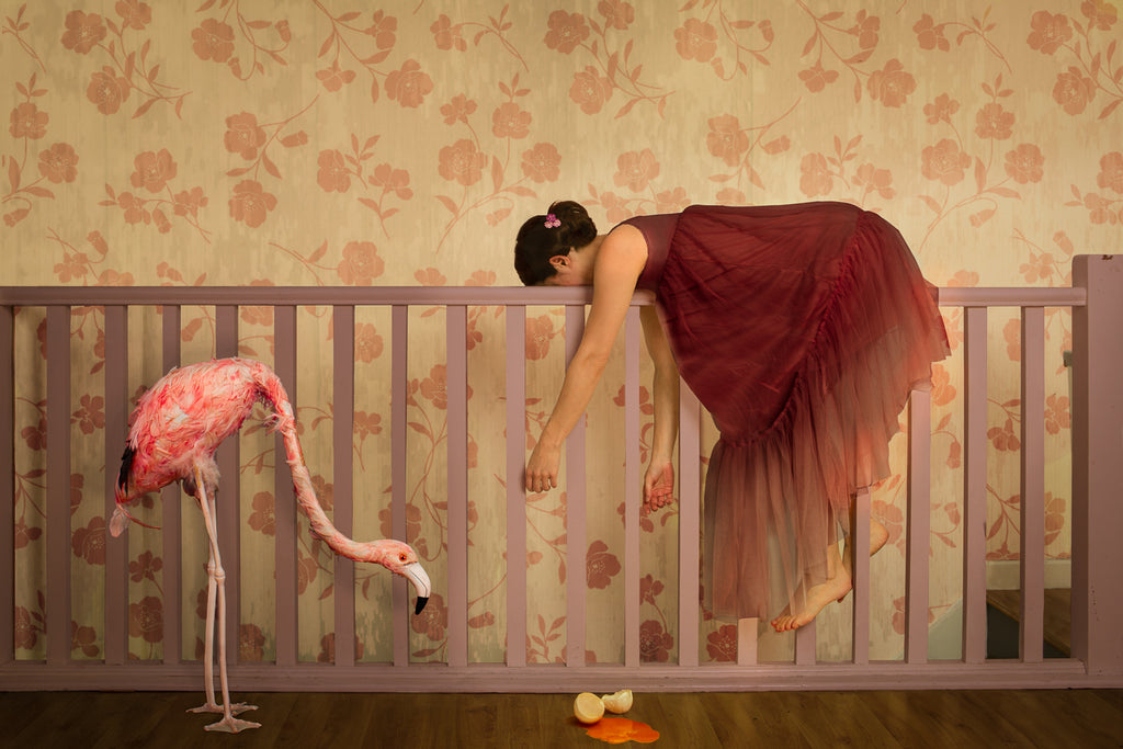 "Flamingo Dance” Limited Edition Giclée Print - by Anna Guadagnini