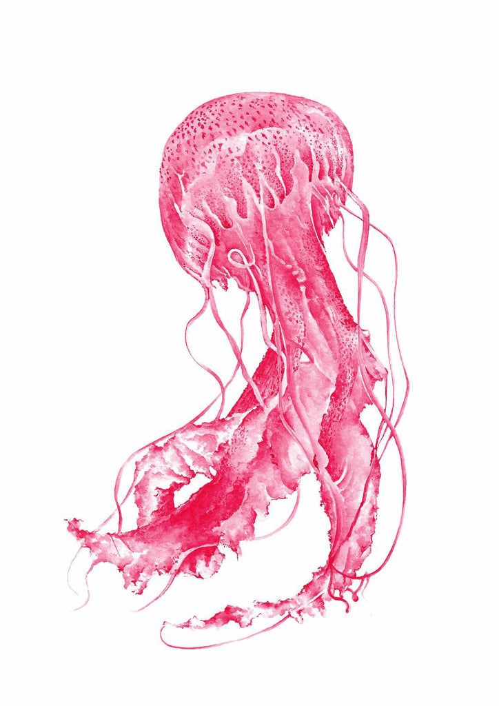 'Pink Stinger' Original Ink Painting by Emily Penfold