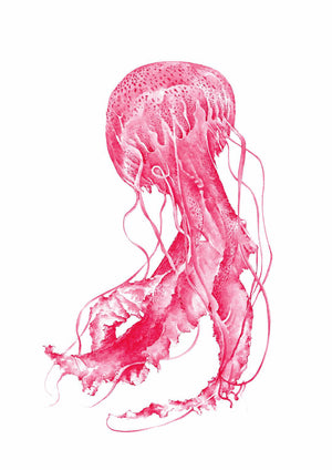 'Pink Stinger' Original Ink Painting by Emily Penfold
